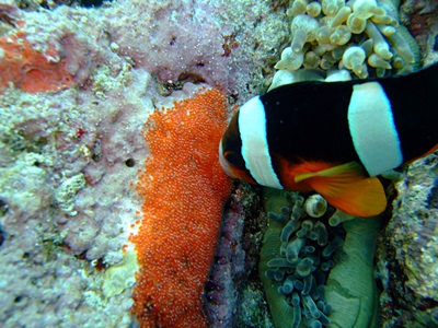 b0033573_22433671.jpg