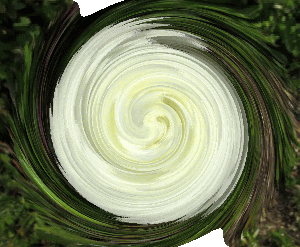 f0003174_14281352.gif