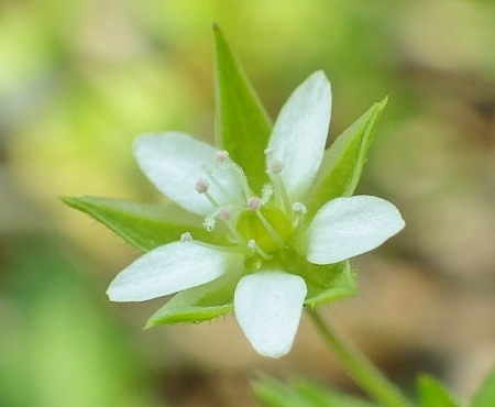 a0125598_21075649.jpg