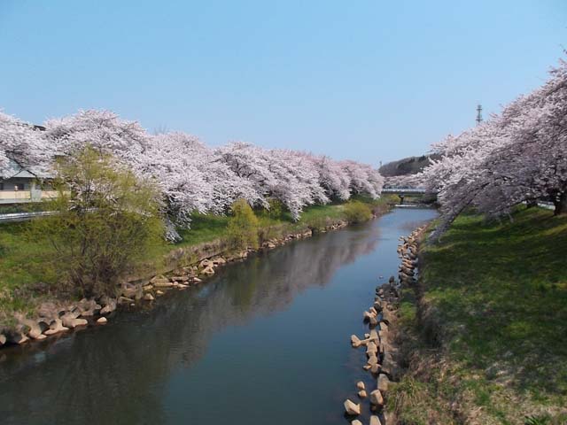f0019498_14403535.jpg