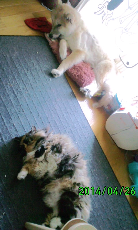 c0311400_1503714.jpg