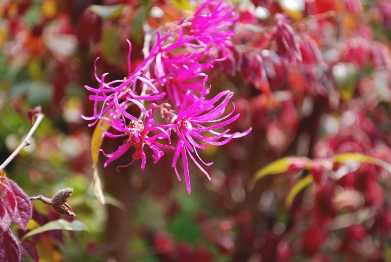 e0025300_12452440.jpg