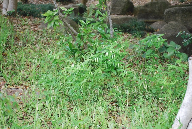 e0025300_18204136.jpg