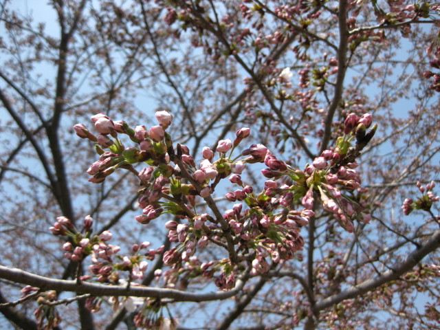 f0236201_19033991.jpg