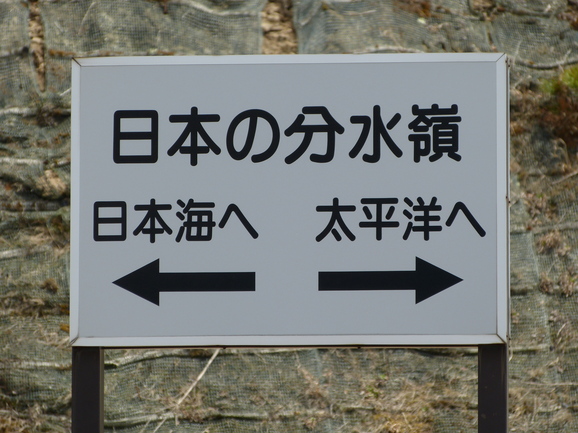d0163003_842754.jpg