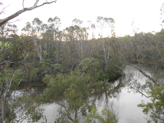 e0211204_2171481.jpg