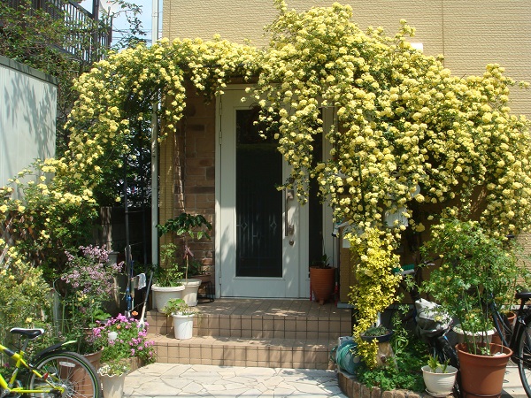 e0320808_15415843.jpg