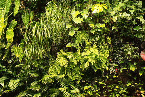 d0063314_1602242.jpg