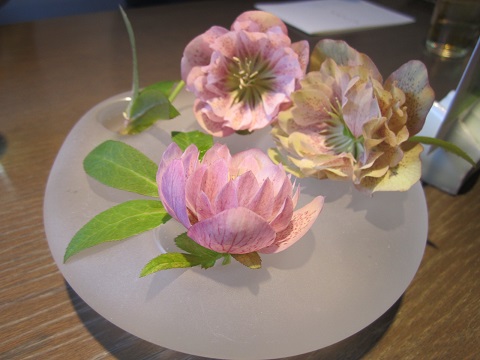 e0041217_1572065.jpg