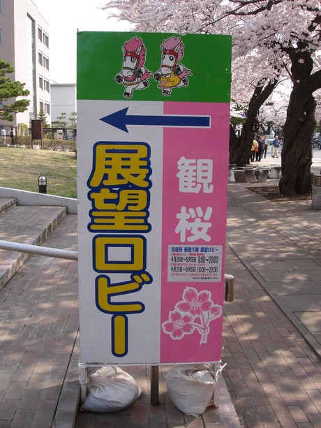 d0250123_2037941.jpg
