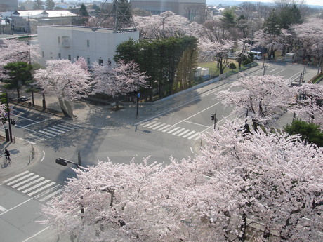 d0250123_203924.jpg