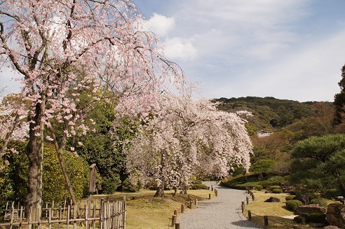 c0235725_1046339.jpg