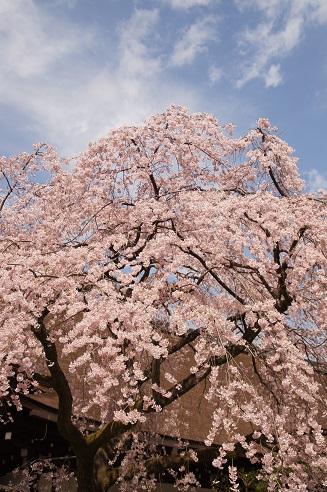 c0235725_651561.jpg