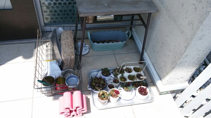f0277327_2403593.jpg