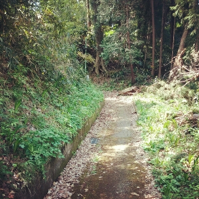 c0254533_1014842.jpg