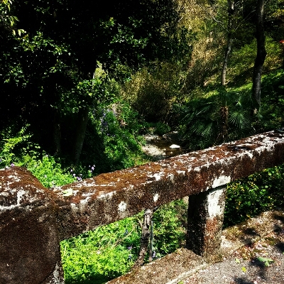 c0254533_1116513.jpg