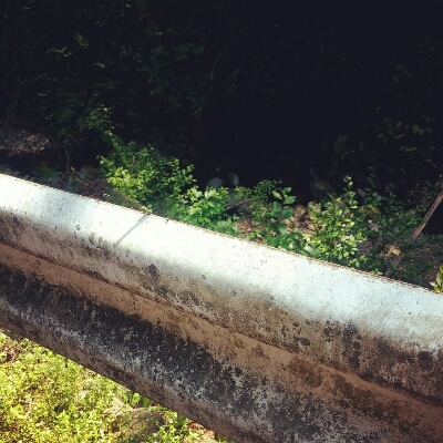 c0254533_11411559.jpg