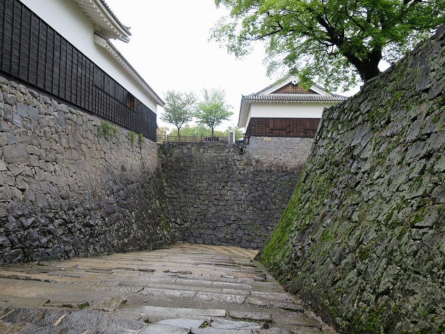 a0138134_18155087.jpg