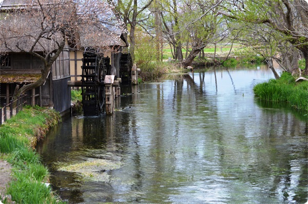 a0155036_133599.jpg