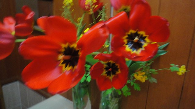 f0208737_893025.jpg