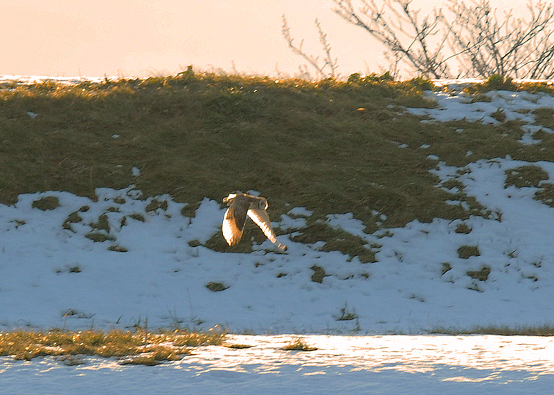 d0290240_05175702.gif