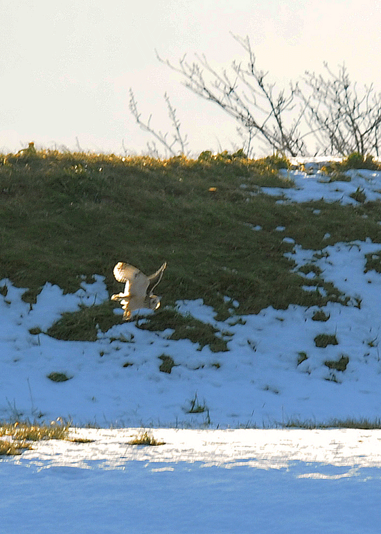 d0290240_05181399.gif