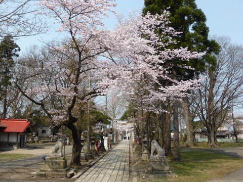 b0238249_18435673.jpg