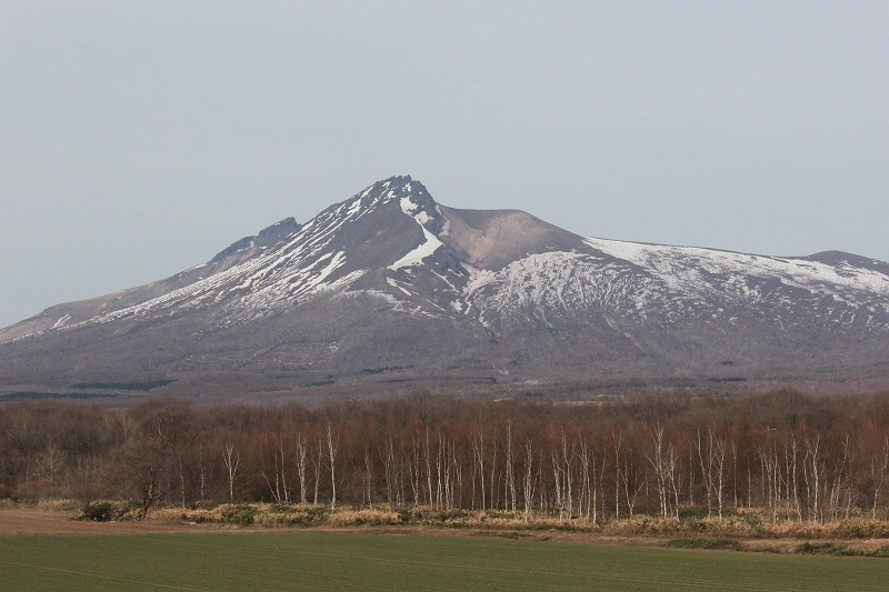 b0250154_8254013.jpg
