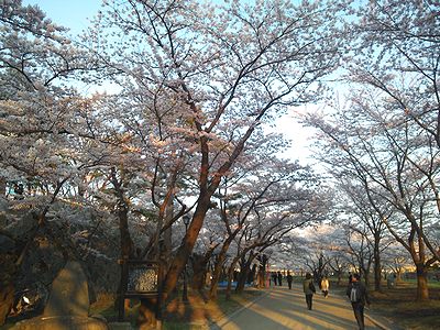 a0096557_14565258.jpg