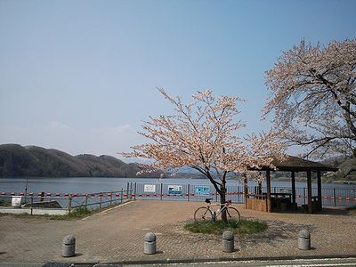 a0096557_15192244.jpg