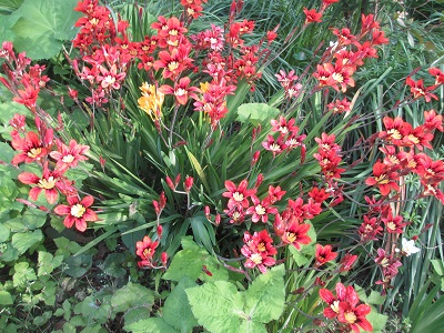 f0113862_17325257.jpg