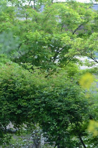 c0186463_151413100.jpg