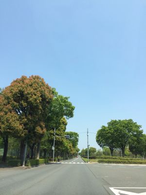 f0016868_17572864.jpg