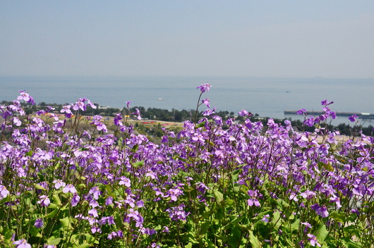 f0029271_1054585.jpg