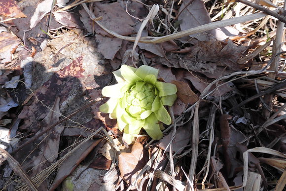 c0237780_175540100.jpg