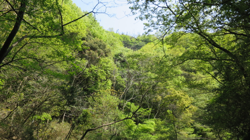e0024081_16220643.jpg
