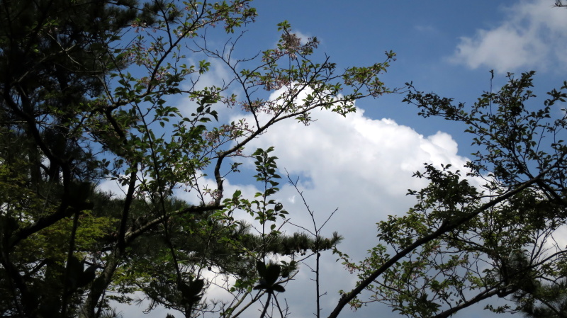 e0024081_16462526.jpg