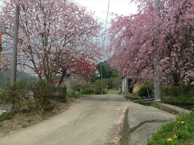 b0042882_16502012.jpg