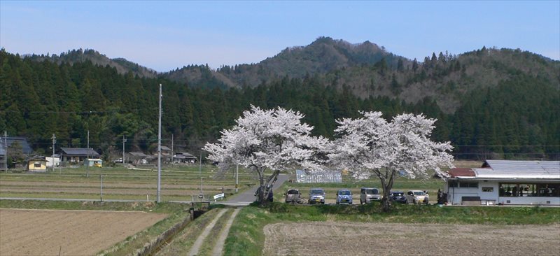 b0042882_16533764.jpg
