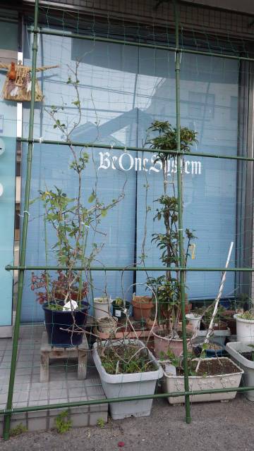 b0062687_22211064.jpg