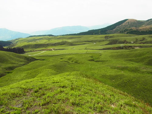 a0214490_18502938.jpg