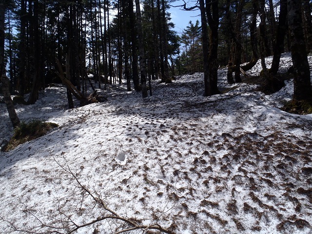c0147398_15541288.jpg