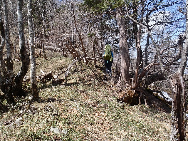 c0147398_1554485.jpg