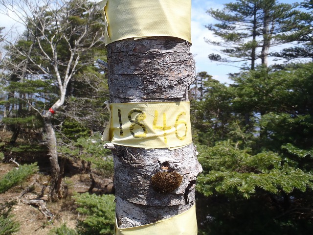 c0147398_15551724.jpg