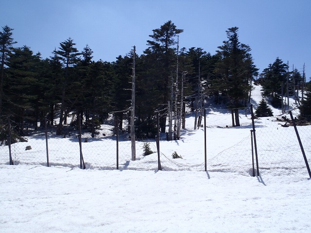 c0147398_15564268.jpg
