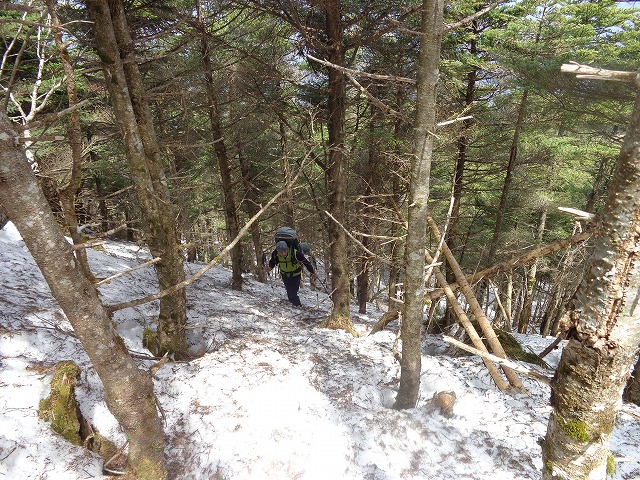 c0147398_15583420.jpg