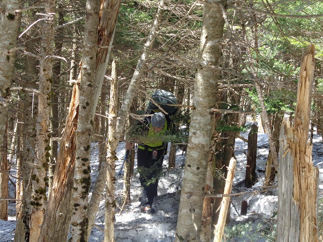 c0147398_1559832.jpg