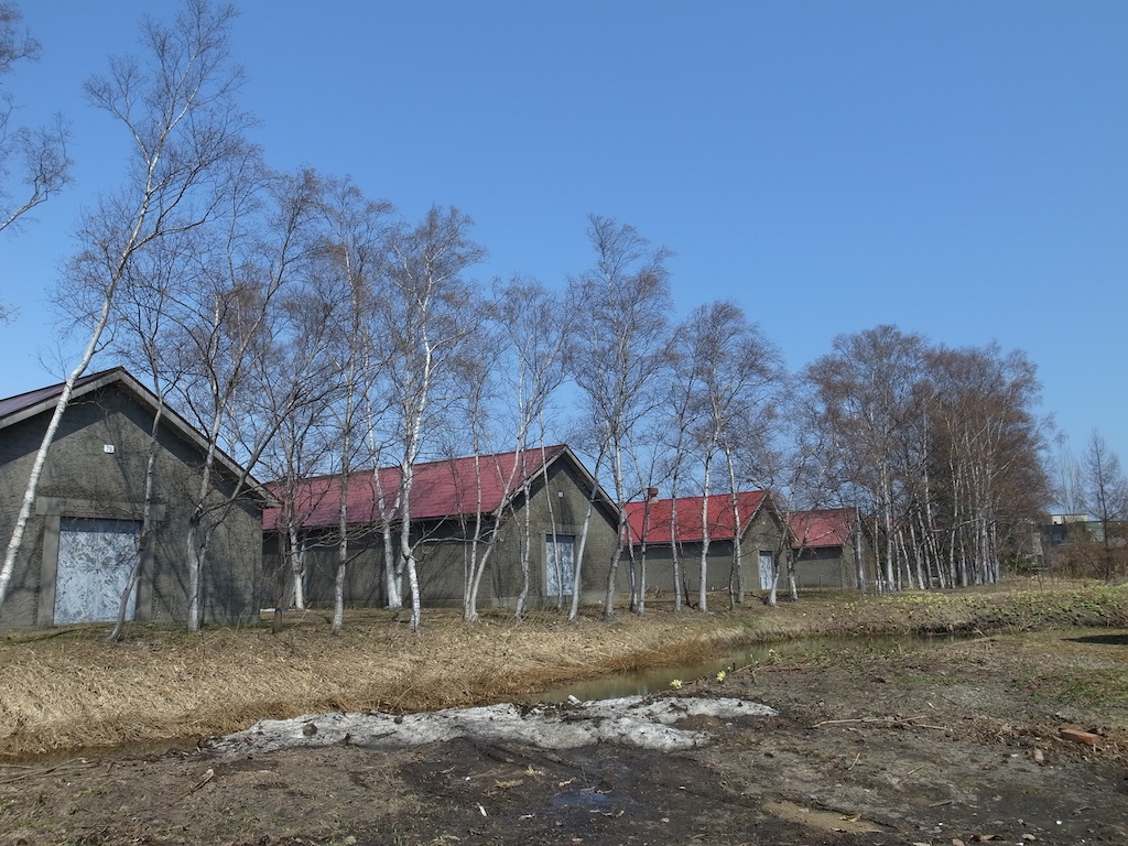 f0108399_2046077.jpg