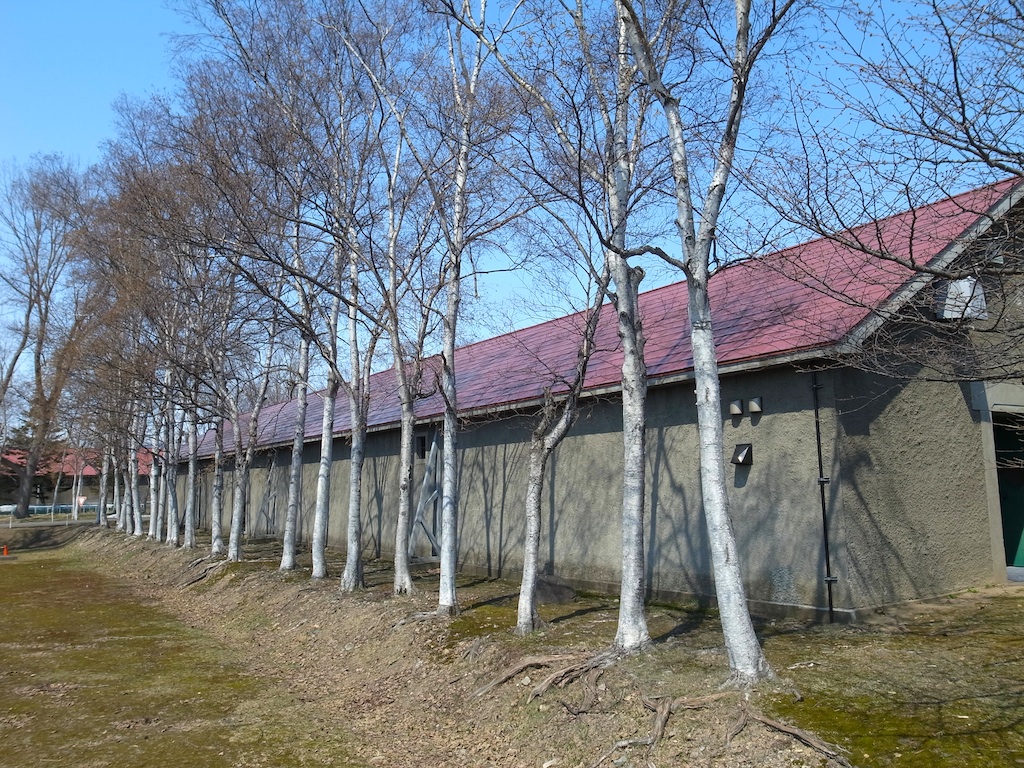 f0108399_22251371.jpg