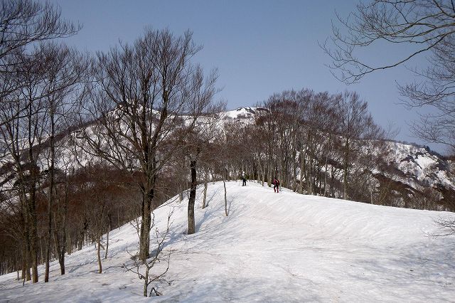e0137200_1851991.jpg
